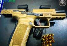 Ação conjunta cumpre mandado de prisão e apreendem arma