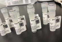 Vacina contra câncer de próstata avança para testes nos EUA