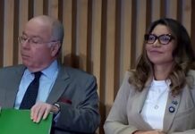 Van Hattem quer convocar Mauro Vieira por xingamento de Janja a Musk