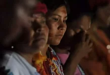 Pesquisadora lança dicionário Kaiowá-português para preservar língua indígena em MS