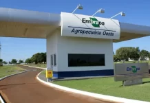 Concurso da Embrapa abre vagas em MS em 35 diferentes áreas com salários de até R$ 12,8 mil