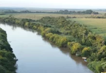 Níveis dos rios de MS voltam à normalidade, mas Rio Dourados mantém estiagem