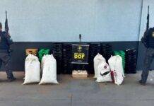 Operação integrada DOF e Denarc/PR apreende quase meia tonelada de drogas