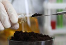 Regulamentação de bioinsumos é aprovada no Senado e vai à sanção