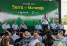 Novo empreendimento em Maracaju fará capacidade de processar soja crescer 20% em MS