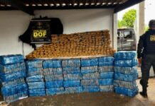 Veículo roubado com mais de 1 tonelada de maconha é apreendido pelo DOF
