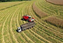 Agro paulista registra alta de 5,8% nas exportações em 2024