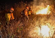 AGU cobra R$ 725 mi de fazendeiros acusados de incêndios no Pantanal