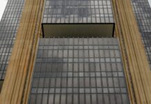 Banco Central anuncia 1ª intervenção no dólar em 2025