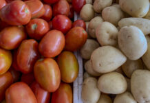 Brasil registra a 5ª maior inflação de alimentos no G20 em 2024