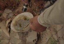 MS registra 16.229 casos confirmados de dengue