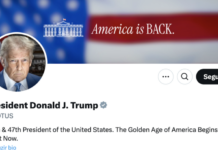 Musk celebra retorno de Trump ao X como presidente