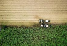 Produtor de cana será remunerado por créditos de descarbonização