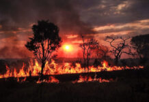 Temperatura global ficou todos os dias acima da média em 2024