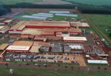 Governo impulsiona suinocultura em MS com investimento de R$ 400 milhões