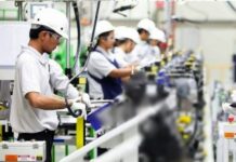 Semana inicia com 4.833 oportunidades de emprego em Mato Grosso do Sul