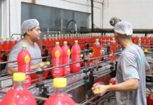 Em MS, mercado de trabalho atrai cada vez mais mulheres e jovens