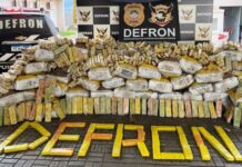 DEFRON apreende quase 4 toneladas de maconha em caminhão acidentado; motorista morre