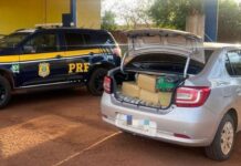 Traficante com quase 400 quilos de drogas em veículo é preso pela PRF
