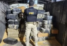 Casal é preso transportando 3,3 toneladas de maconha em carga de milho na BR-163