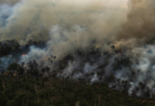 COP30 será “oportunidade” para enfrentar crise climática, diz Fapesp