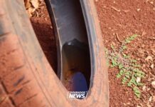 CCZ aplica mais de R$ 30 mil em multas pela ‘Lei da Dengue’ em Dourados