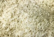 Governo suspende novas contratações do Plano Safra