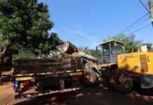 Mutirão de limpeza no Jóquei Clube segue durante a semana
