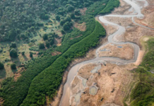 Pesquisa com bactérias na Amazônia pode desenvolver novos medicamentos