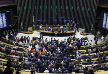 Plenário da Câmara começará 2025 com pautas “tranquilas”, diz Motta