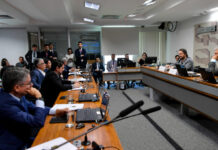 Senado deve discutir endurecimento de penas no início de 2025