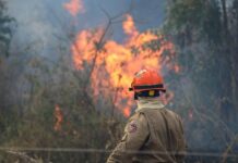Governo de MS assina decreto de emergência ambiental por 180 dias no Estado