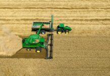 Agro emite US$ 11,54 por tonelada de carbono, diz estudo