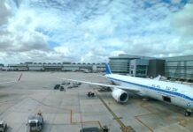 Brasileiros são detidos em Miami por tentar entrar à força em voo