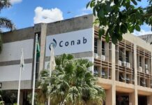 Conab abre concurso com 403 vagas para níveis médio e superior