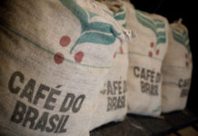 Exportação de café sofre com entraves nos portos brasileiros