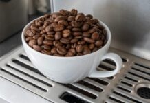 Exportações de café do Brasil atingem US$ 13,48 bi até fevereiro