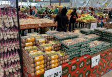 Governo Lula projeta Brasil fora do Mapa da Fome em 2026