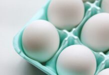 “Rei do Ovo” brasileiro compra empresa dos EUA por US$ 1,1 bilhão