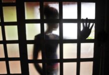 Senado aprova reconstrução dentária para vítimas de violência