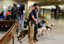 STF terá varredura com cães para julgamento de denúncia de Bolsonaro