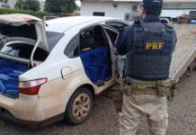 Homem tenta correr da polícia, mas é preso transportando 1t de maconha