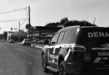 ‘Rota 67’: Polícia prende 8 pessoas e apreende 150 kg de maconha em operação entre MS e Goiás