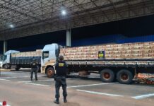 Mais de 50 mil pacotes são apreendidos pelo DOF em dois caminhões furtados