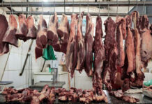China reprova frigoríficos brasileiros indicados pelo governo Lula