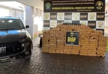 Polícia apreende mais de uma tonelada de maconha após perseguição na MS-379