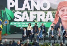 Governo prorroga crédito extraordinário de R$ 4,2 bi para Plano Safra