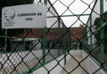 Petrobras vai operar centro de tratamento animais da Margem Equatorial