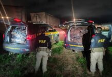 Polícia apreende mais de 1t de cocaína em meio a cargas de minério