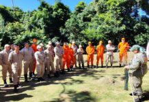 Na luta contra o fogo toda vida importa e Bombeiros aprimoram técnicas para resgate de animais silvestres